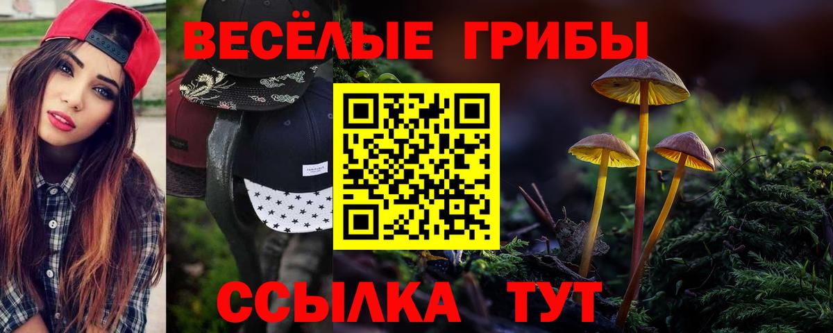 Псилоцибиновые грибы мицелий Тайшет