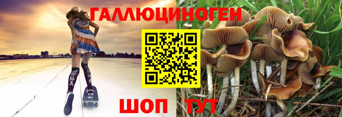 Псилоцибиновые грибы Magic Shrooms  Вход с VPN  Тайшет 